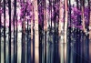 stock-photo-abstract-forest-in-motion-blur-abstract-colorful-background-231897481