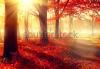 stock-photo-autumn-fall-scene-beautiful-autumnal-park-beauty-nature-scene-autumn-trees-and-leave