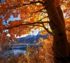 stock-photo-autumn-scene-151382801