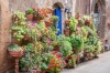 stock-photo-beautiful-porch-decorated-with-flowers-in-italy-228365284