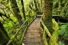 stock-photo-bridge-in-to-the-jungle-thailand-89897779