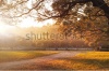 stock-photo-countryside-farm-or-ranch-with-dirt-road-and-overhanging-live-oak-branches-and-dista