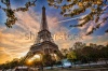 stock-photo-eiffel-tower-with-spring-tree-in-paris-france-193441724