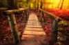 stock-photo-footbridge-path-through-woods-in-magical-light-163994921