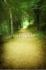 stock-photo-forest-path-79382431
