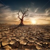 stock-photo-global-warming-concept-lonely-dead-tree-under-dramatic-evening-sunset-sky-at-drought-cracked-183052871