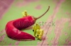 stock-photo-group-of-people-in-protective-suit-inspecting-chili-pepper-macro-photography-197727845
