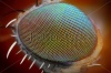 stock-photo-macro-fly-compound-eye-surface-at-extreme-x-magnification-very-sharp-134876090