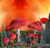 stock-photo-mushrooms-magic-place-86020507