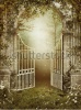 stock-photo-old-garden-gate-with-ivy-and-roses-82093270