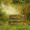 stock-photo-old-wooden-bench-in-a-village-orchard-80435929