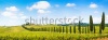 stock-photo-panoramic-view-of-scenic-tuscany-landscape-with-vineyard-in-the-chianti-region-tuscany-italy-13