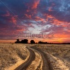 stock-photo-path-on-sandy-steppe-on-sunset-110200523