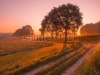 stock-photo-path-through-fields-in-early-morning-sun-184440095
