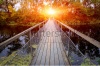 stock-photo-small-bridge-over-river-in-forest-on-sunset-background-256392271
