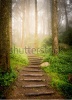 stock-photo-stairs-going-up-hillside-in-forest-toward-sunset-185026199