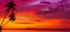 stock-photo-sunset-over-the-ocean-with-tropical-palm-trees-silhouette-panorama-120308194