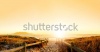 stock-photo-sunset-panorama-hdr-of-a-beach-near-cape-town-south-africa-table-mountain-can-be-seen-in-the-88