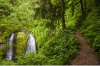 stock-photo-trail-by-upper-elowa-falls-waterfalls-in-columbia-gorge-oregon-103133987