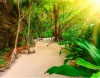 stock-photo-trail-in-the-jungles-of-the-island-of-ko-phi-phi-lei-in-thailand-281075783
