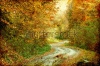 stock-photo-vintage-photo-of-curving-road-in-autumn-forest-118437397