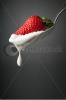 stock-photo-white-cream-and-a-strawberry-in-a-silver-spoon-isolated-on-gray-92384614