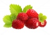 stock-photo-wild-strawberry-macro-isolated-on-white-241769842