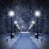 stock-photo-winter-park-in-the-evening-covered-with-snow-with-a-row-of-lamps-85838104