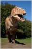 dinozavry_138b