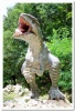dinozavry_40b