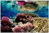 underwater_world_492b
