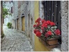 the_streets_of_europe_401b