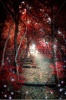 stock-photo-an-enchanted-red-forest-with-a-fantasy-atmosphere-17631613