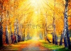 stock-photo-autumn-fall-autumnal-park-autumn-trees-and-leaves-in-sun-rays-beautiful-autumn-scene