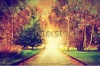 stock-photo-autumn-fall-park-wooden-path-towards-the-sun-colorful-leaves-romantic-aura-and-conce