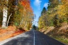 stock-photo-autumn-mountain-landscape-asphalt-road-going-to-mountains-passes-through-the-ever-gr