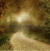stock-photo-autumnal-scenery-with-a-country-road-80435962