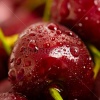 stock-photo-background-from-sweet-fresh-wet-red-cherry-macro-image-154608932