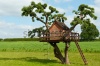 stock-photo-beautiful-creative-handmade-tree-house-for-kids-in-backyard-of-a-house-142880632