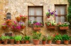 stock-photo-beautiful-street-decorated-with-flowers-in-italy-170809175