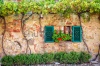 stock-photo-beautiful-window-decorated-with-flowers-in-italy-246644080