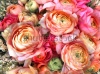 stock-photo-bouquet-of-pink-peony-floral-pattern-139363244