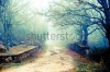 stock-photo-cold-autumn-days-are-bringing-beautiful-colors-mysterious-fog-and-some-spooky-moods-