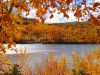 stock-photo-colorful-fall-foliage-along-the-bow-river-calgary-canada-62250094