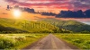 stock-photo-composite-landscape-with-abandoned-asphalt-road-rolls-through-meadows-with-flowers-g