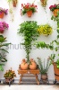 stock-photo-cordoba-patio-fest-private-courtyard-with-flowers-decorated-spain-europe-180011531