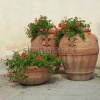 stock-photo-elegant-classic-tuscan-terracotta-plant-containers-with-geranium-flowers-on-italian-terrace-16949580