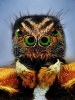 stock-photo-extreme-sharp-portrait-of-jumping-spider-with-green-eyes-taken-with-microscope-lens-11402212