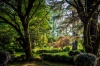 stock-photo-fairytale-forest-batumi-botanical-garden-georgia-133275779
