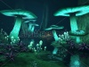 stock-photo-fantasy-dark-forest-with-green-glowing-mushrooms-140673958